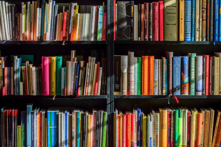 books_bookstore_book_reading_shop_writer_sale_books_read-822866