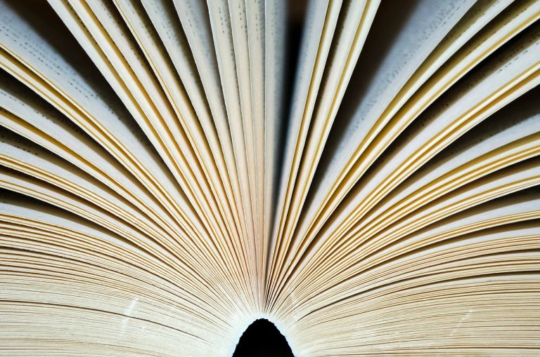 open-163975_1280