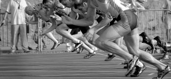 spot-g11d8defc9_1920