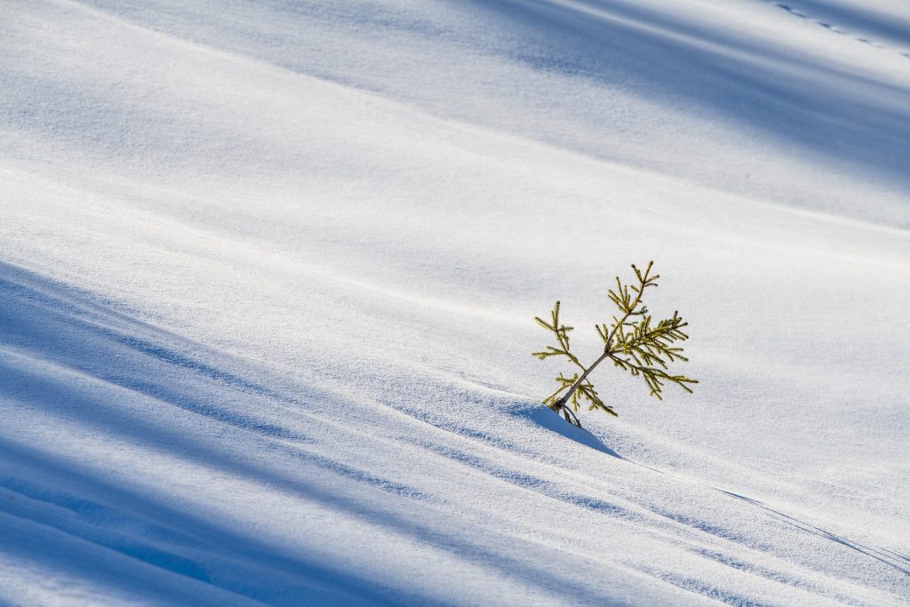 winter-g04f4c884a_1920