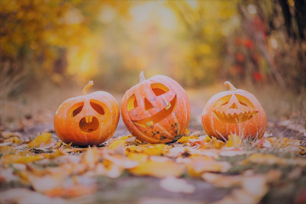 pumpkin-g6bcfe286f_1920