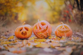 pumpkin-g6bcfe286f_1920