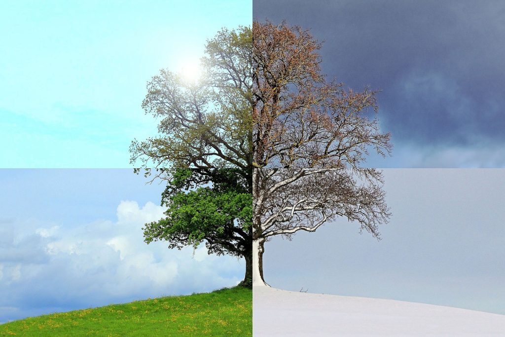 seasons-of-the-year-1127760_1920
