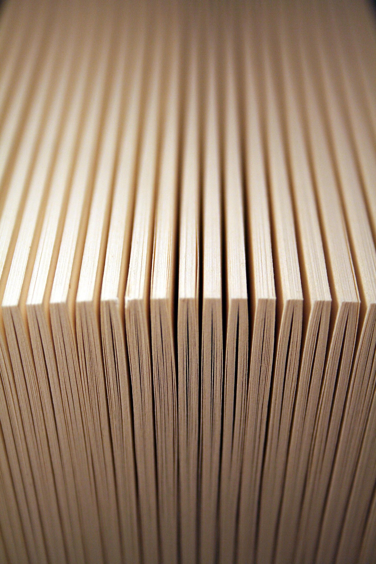 G. L. De Angelis –  Breve excursus sulla più recente giurisprudenza in materia di capitalizzazione composta degli interessi nei contratti di mutuo